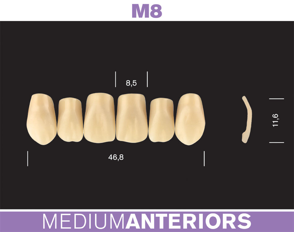 Denti protesici MAJOR AF COMP