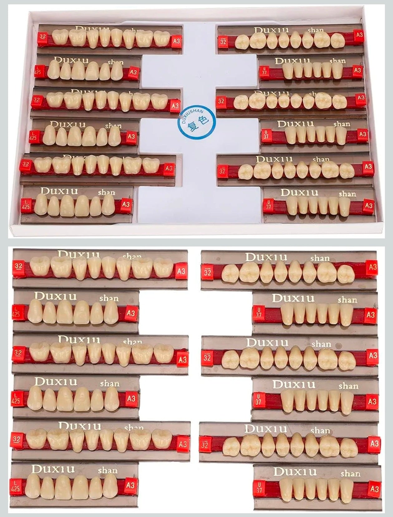 Denti protesici VITA LINGOFORM