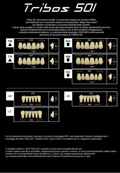 Denti protesici TRIBOS 501 GEBDI