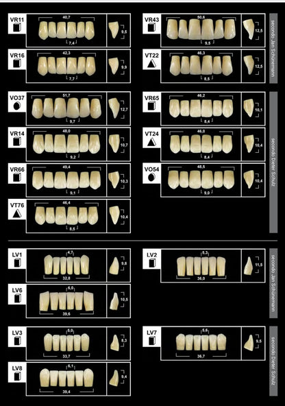 Denti protesici TRIBOS 501 GEBDI
