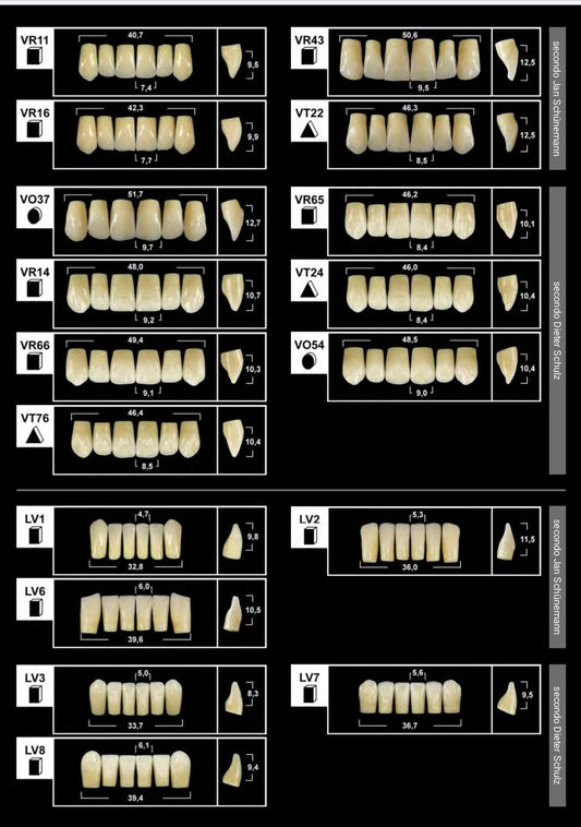 Denti protesici TRIBOS 501 GEBDI