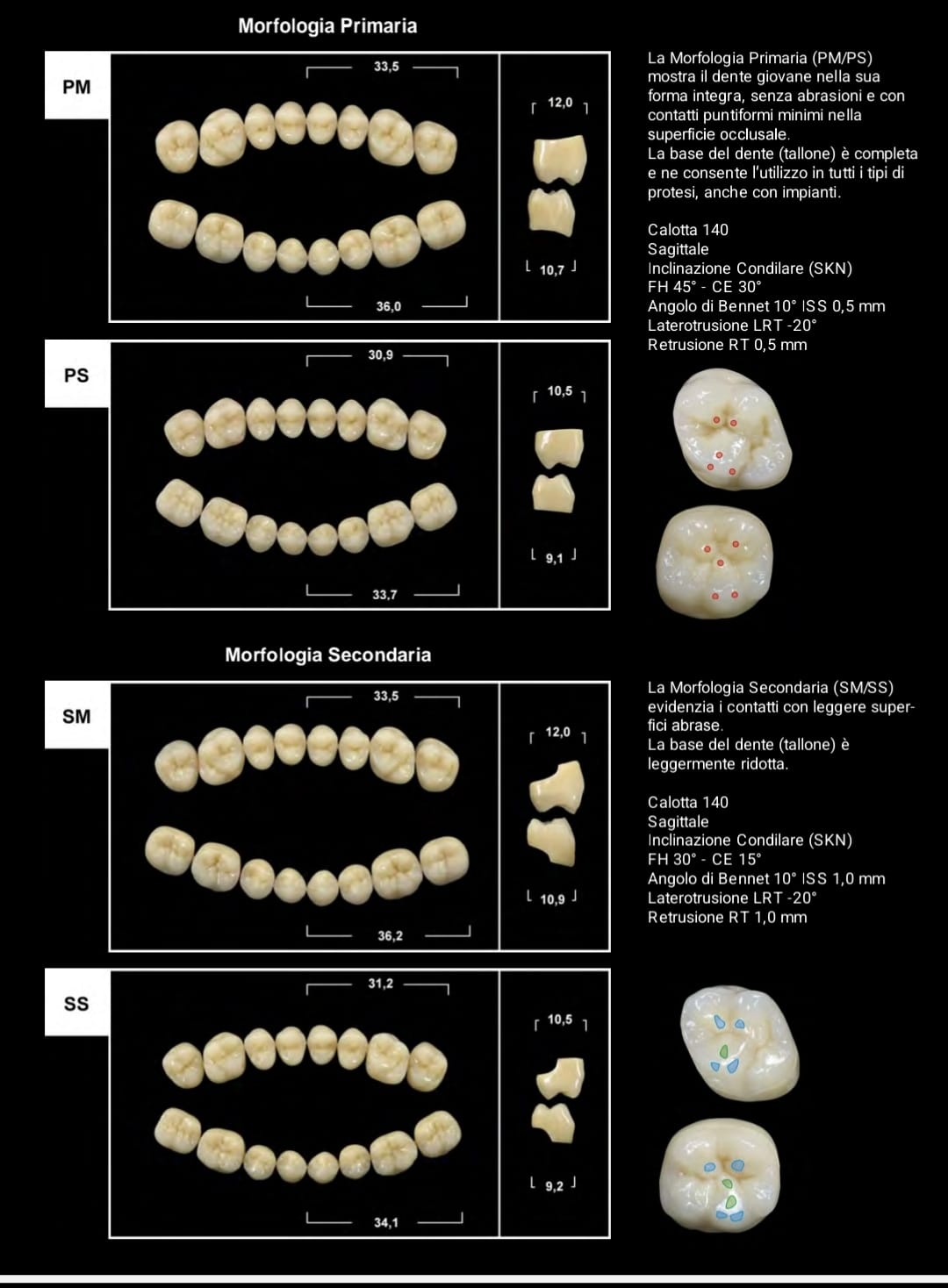 Denti protesici TRIBOS 501 GEBDI