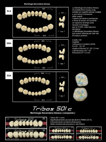 Denti protesici TRIBOS 501 GEBDI