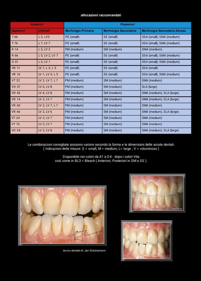 Denti protesici TRIBOS 501 GEBDI